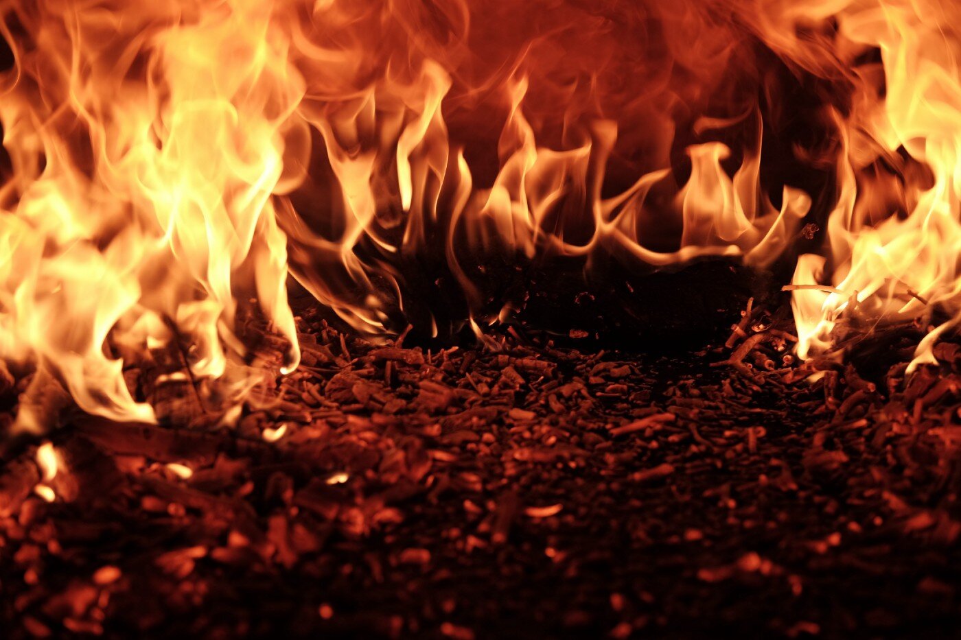 Close-up of flames burning