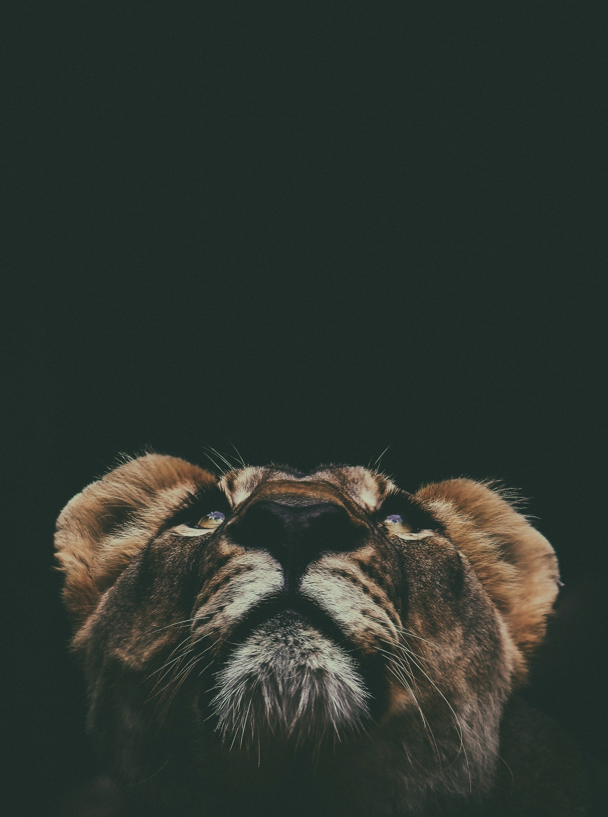 Photo by Prince David on Unsplash